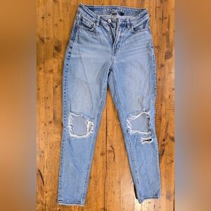 American Eagle Outfitters Light Blue Distressed Skinny Jeans